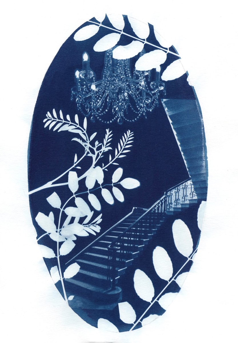 ✨Upcoming workshops in September! ✨ 

I’m delighted to announce some new cyanotype photography workshops I’ll be running <a href="/ThamesSideSE18/">Thames-Side Studios</a> and some online via zoom. Full details and tickets mollybehagg.co.uk/upcoming-works… #cyanotype #photographyworkshops