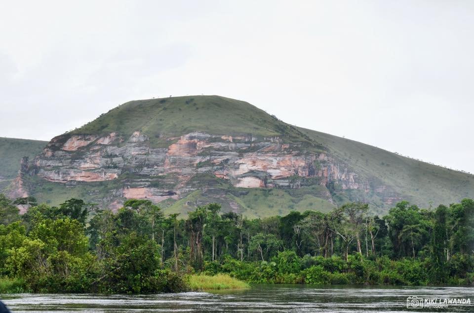 Le Congo Est Chic tweet media