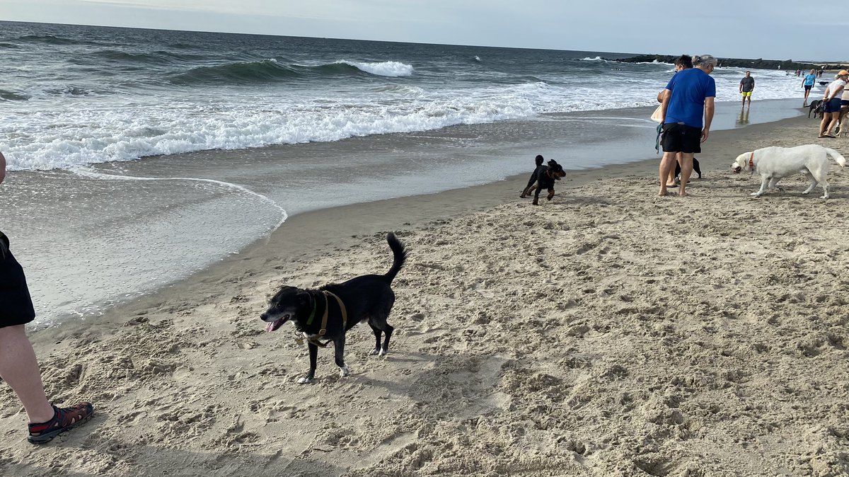 TOGAonTV's tweet photo. Every day is a great beach day in @inAsburyParkNJ https://t.co/ytYiSpxloL