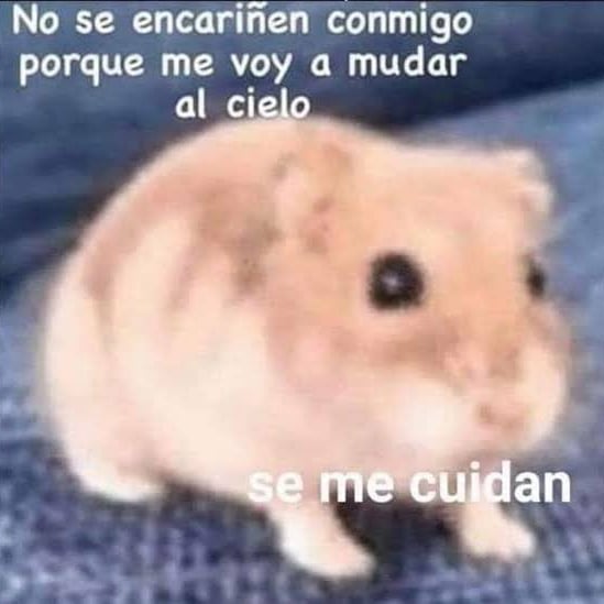 Axel Téllez tweet media