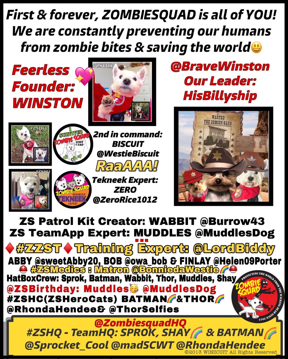 🚨Important info for ZS #ZSHQ 🚨 Official Squad Members:
Please note ZS do not expect all members to follow/follow back all Squad members. However, if you do not follow HQ or other key HQ ADMIN Staff is highly likely that you will miss key announcements&amp;HQ miss yur valued tweets
