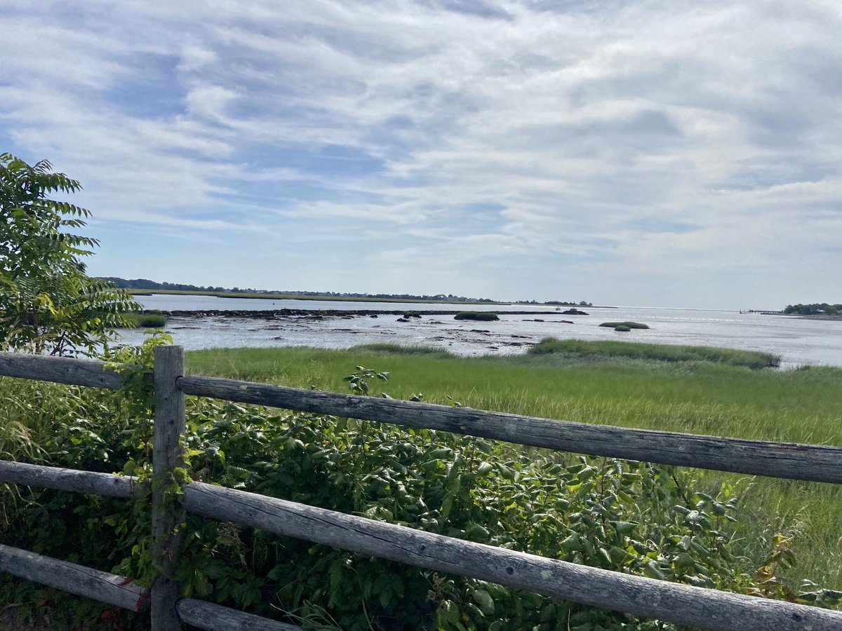 Kelsey Armstrong tweet media