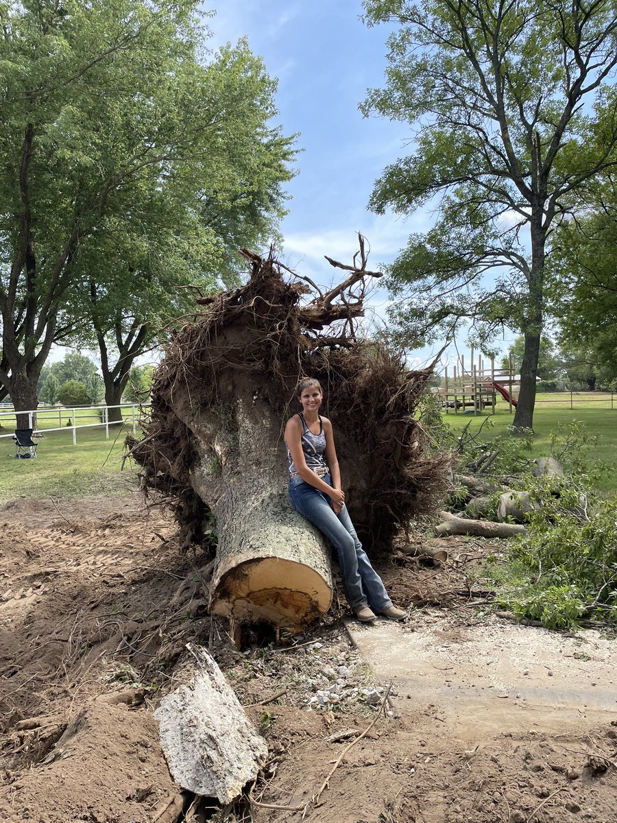 T_M_TreeService's tweet image. Call us today for a free estimate on your tree! We removed this large hackberry the other day! #Largetreeremoval #smalltreeremoval #stumpremoval #stumpgrinding #treetrimming #treepruning #locallyowned #familyowned #insured #bonded #calltoday #freeestimate #Tulsa #brokenarrow