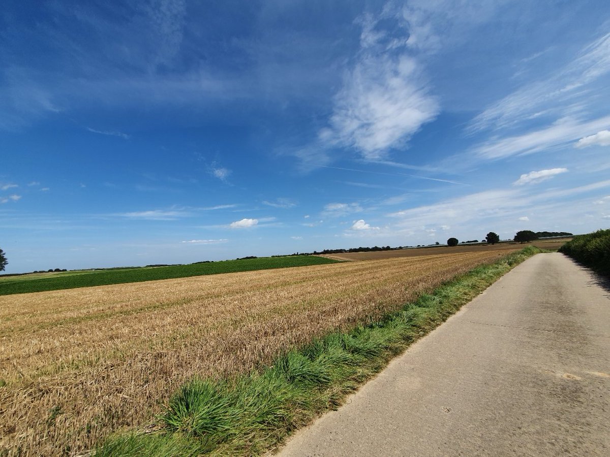 magdalenaerts's tweet photo. #Gingelom Hauthemweg Montenaken 13.00 https://t.co/jDC8NjkKxP