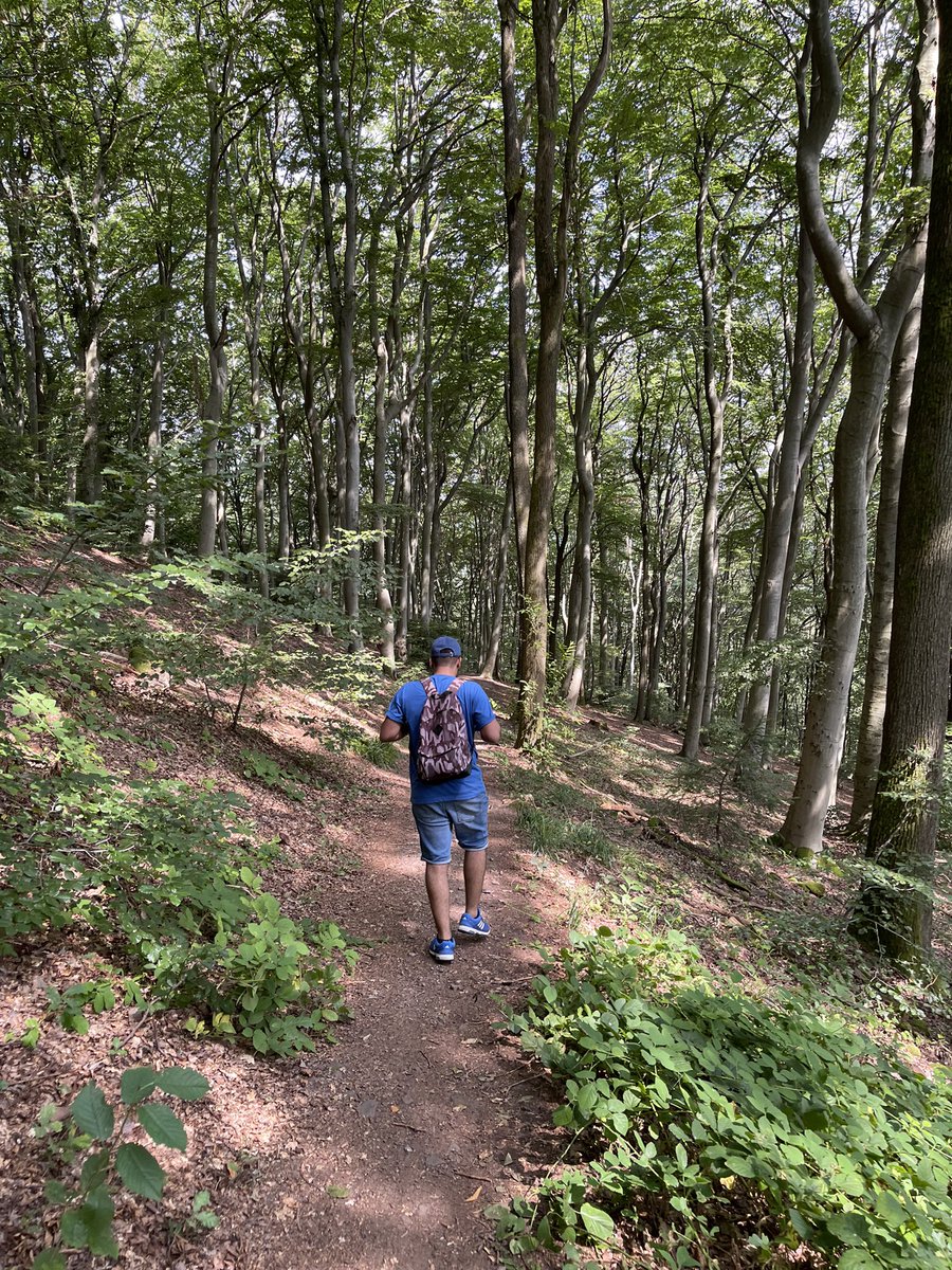 If Yesterday it was the other side of the mountain top point, Today exactly the opposite mountain 🧘🏼‍♂️ #Königstuhl #Thingstätte #MountainHiking 🤺 #Heidelberg