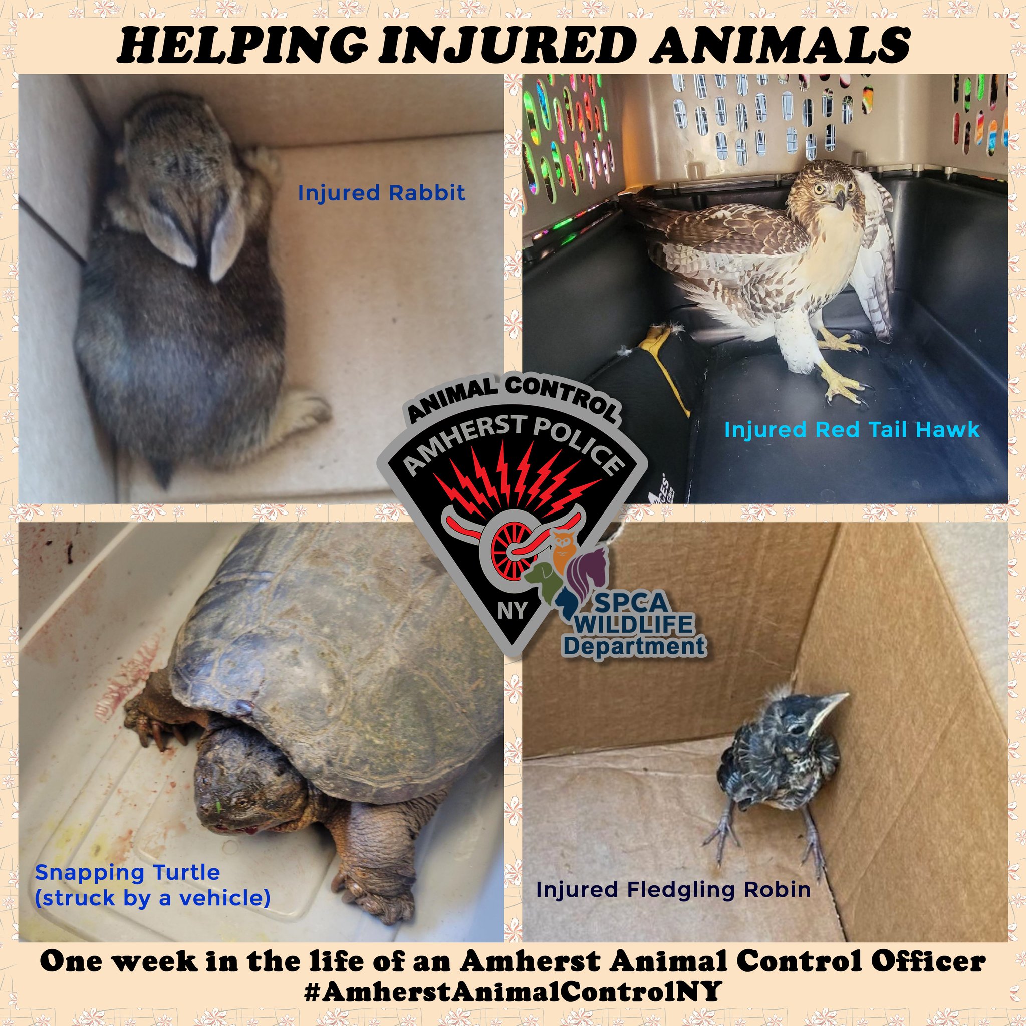 Arrest Org Amherst Countyfav Event Invitations - 13leodx