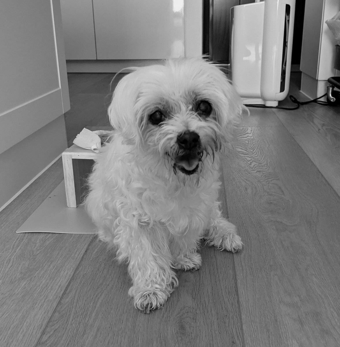 I love you.  Farewell.