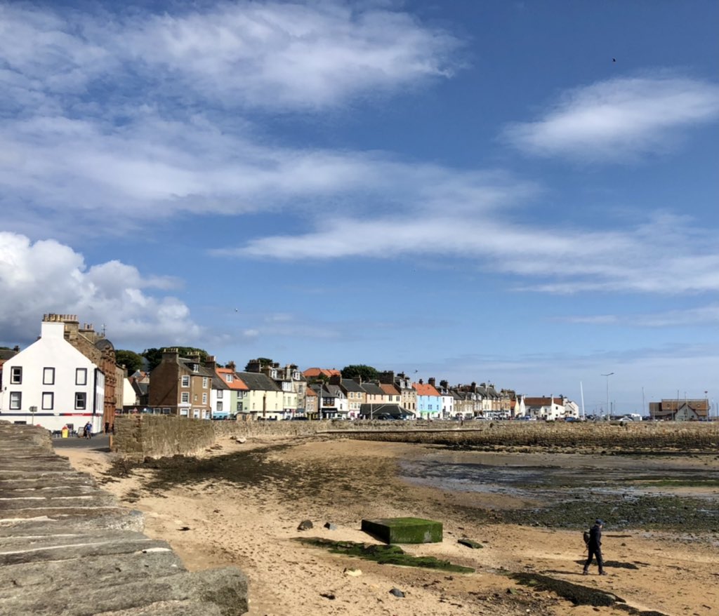 linda 👋🏼🐸 tweet media