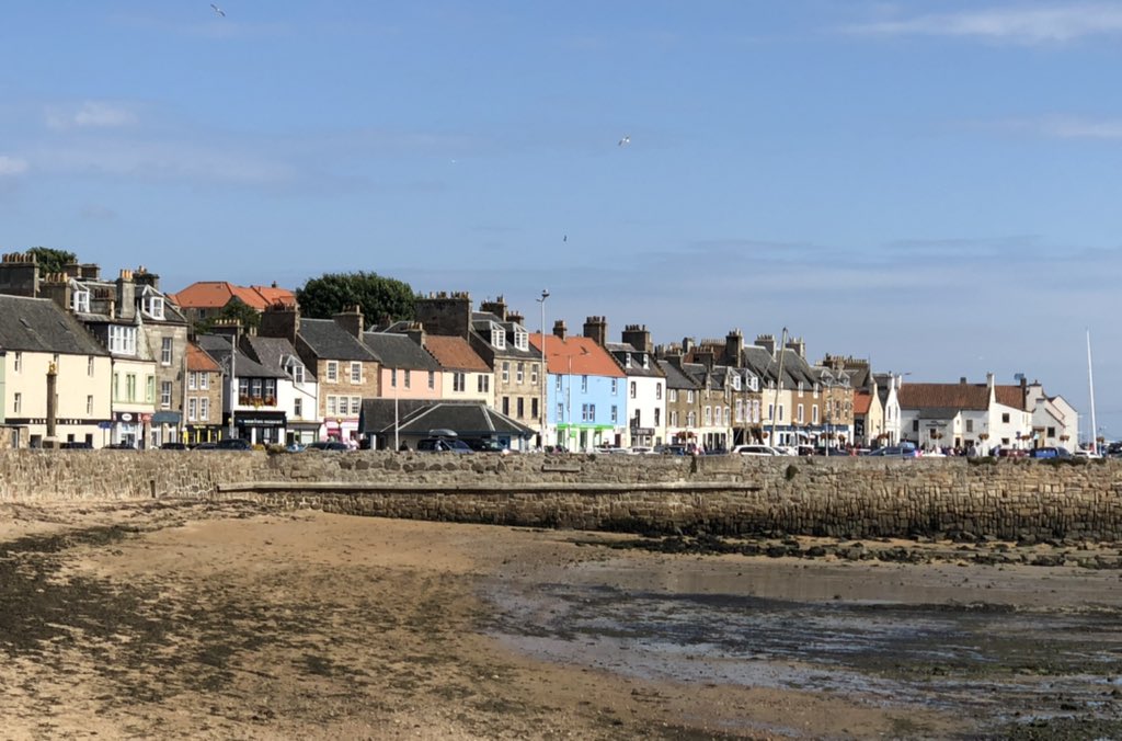 linda 👋🏼🐸 tweet media