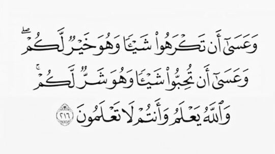AlMaha__Ra's tweet photo. يآرب سلمنا امرنا لك بشرنا وارح قلوبنا 💔 https://t.co/sN2GjRkGgS