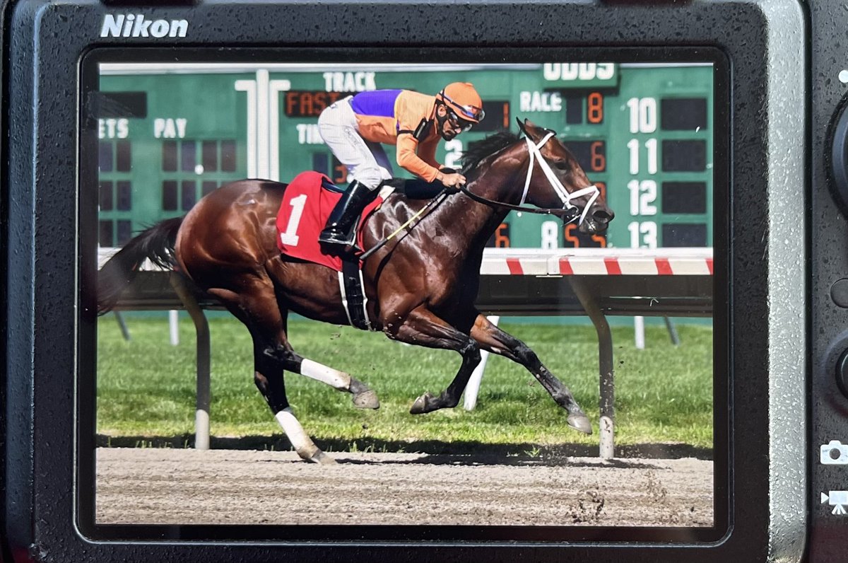 NNStables's tweet photo. From the back of my camera: Mo Mischief finished fourth at @MonmouthPark and jockey Paco Lopez said he simply didn’t like the inside (he was in the 1 hole) and needs to go longer. Still so great to see our First Horse run in person. Thanks to  @MyRacehorse and @spendthriftfarm. https://t.co/DesBX19WiE