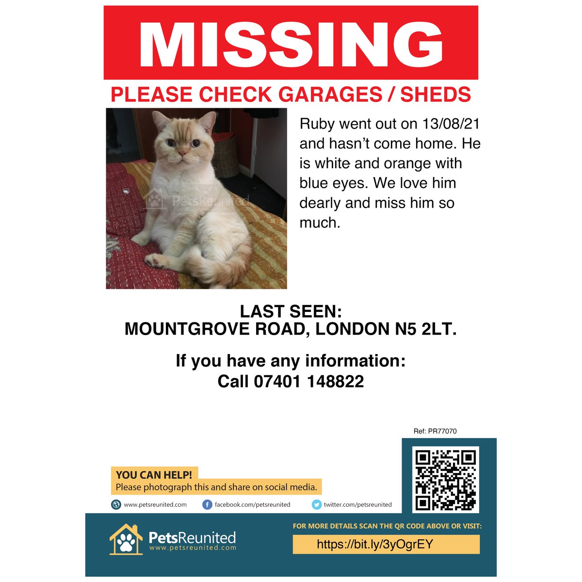 Urban_Fox_Media's tweet photo. Please call this number if you have seen this missing cat. Little Ruby has been missing for a few days now in the N5 area of London. https://t.co/2Rq0eR1l62