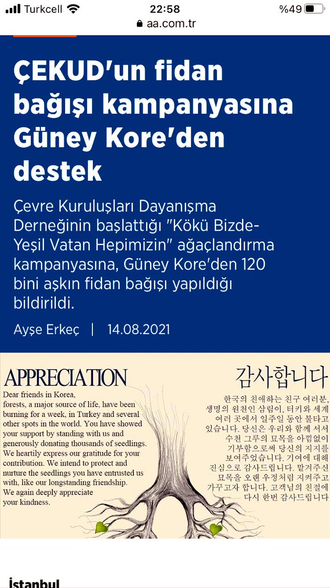 Yine yeşerteceğiz inşallah