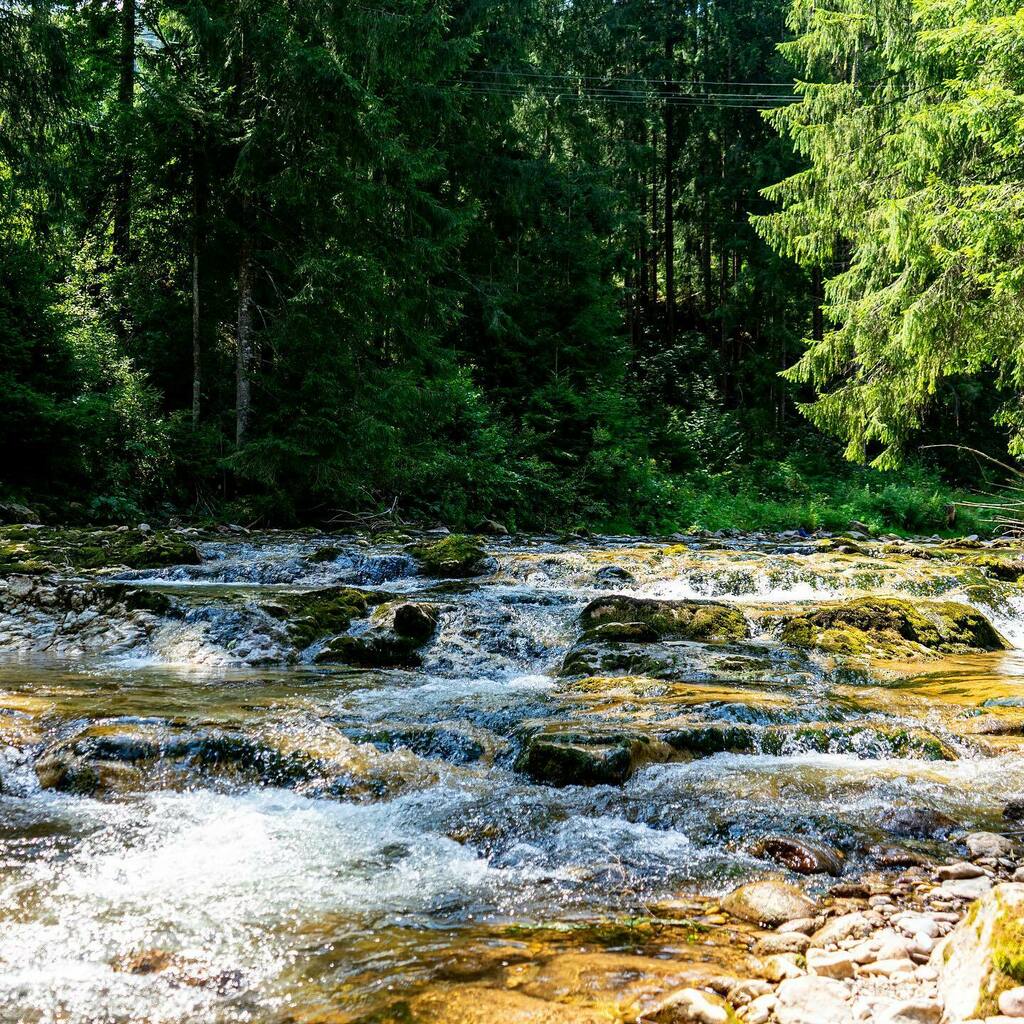 razvanbalsan's tweet photo. #visitromania #apuseni #gardadesus #scarisoara #transylvania https://t.co/A6aAjn8EF1 https://t.co/h6vHGmLYcW