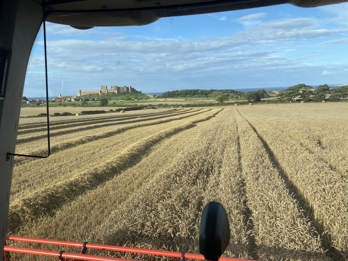 Nice view from the office today