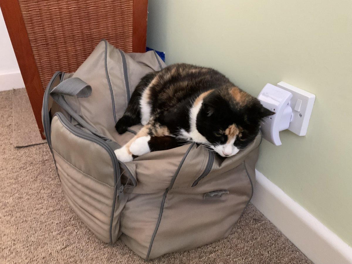 I haz a new sleepy place