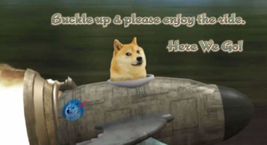 echophaseSD's tweet photo. Enjoy the ride....

#dogecoin https://t.co/hklgh18NTs