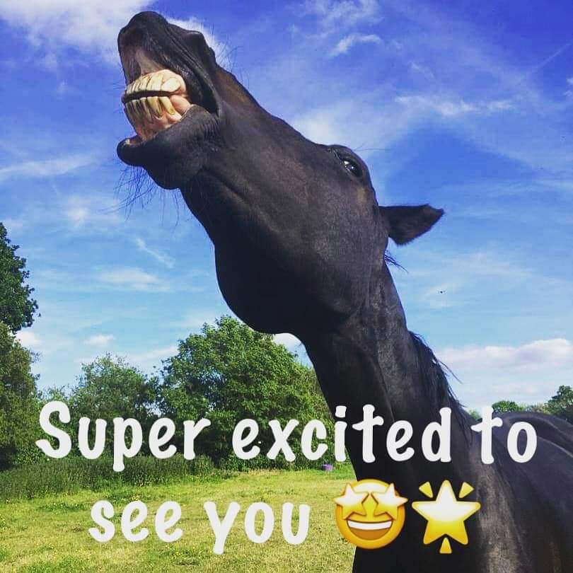 EastonEquine's tweet photo. Enrolment starts tomorrow!

The Equine Studies Team are super excited to meet our new students tomorrow for their enrolment. Please remember to read your enrolment letter thoroughly for all the details.

We can't wait to meet you! #equinestudies #enrolment #nextstep https://t.co/8SX8F2ckMV