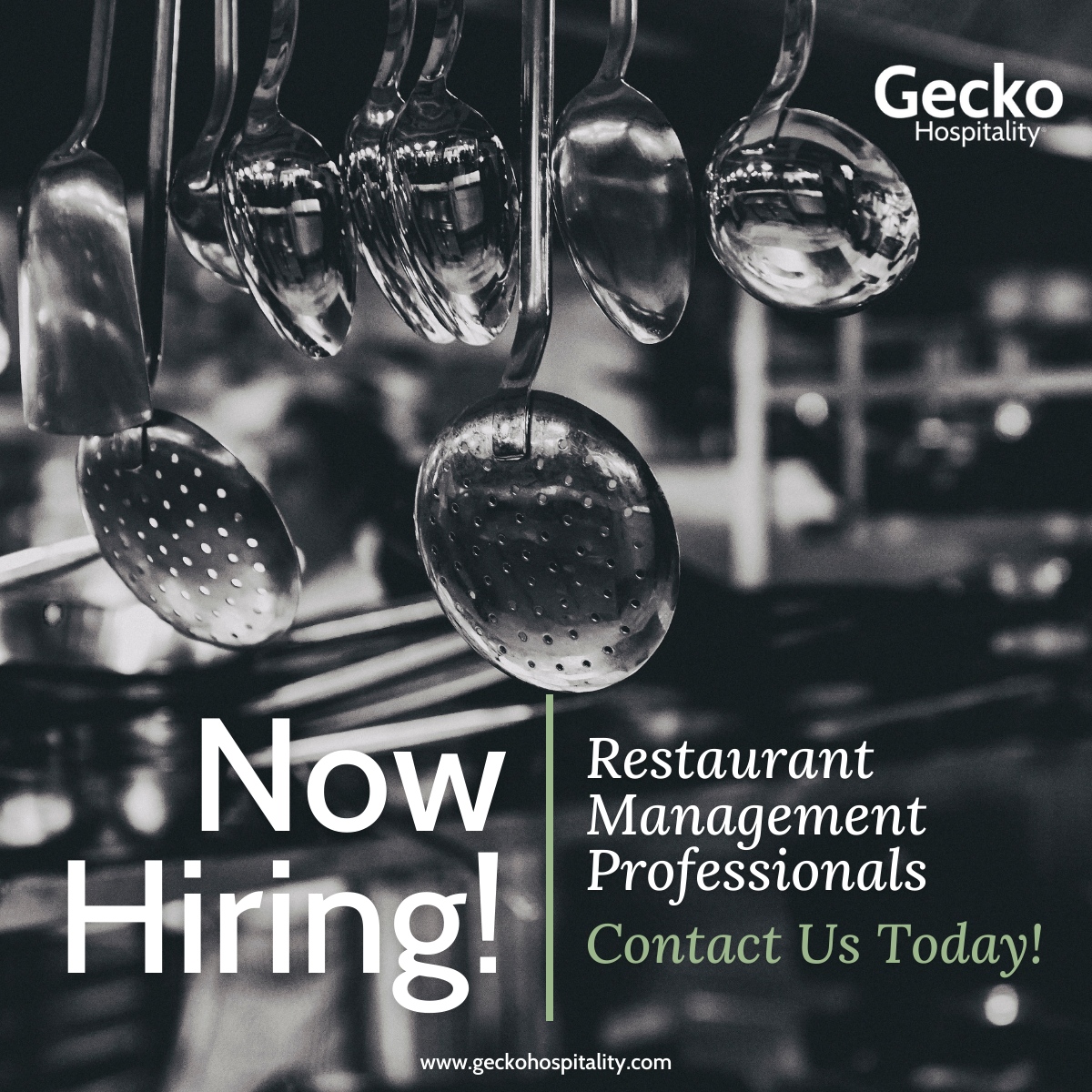 MatthewMKennedy's tweet photo. MISSISSIPPI RESTAURANT MANAGERS, CHEFS &amp; KITCHEN MANAGERS: We have opportunities! Email resume to 👉 matthew@geckohospitality.com TODAY to learn more about YOUR next opportunity. #GeckoHospitality #NowHiring #Restaurant #Hospitality #Recruiter #WeAreHiringNow https://t.co/7Hnf1TmnoX