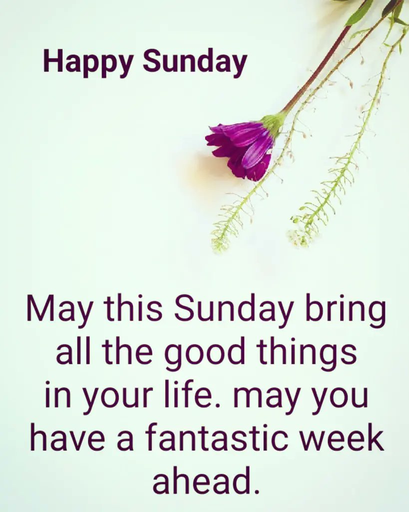 TheLevelUpLife1's tweet photo. Wishing you an amazing Sunday 🙏💫🙌🌻🌞❤ #levelup #sundayvibes
#postivevibes #Positivequote #sundaychill #staymotivated #quoteoftheday #EmilySmith💫 #sundaythoughts #sunday #loveyourself #EmilySmithTheLevelUpLifeCoach #deepthoughts #theleveluplifecoach #sundaymotivation https://t.co/sbJ4NGjE3z