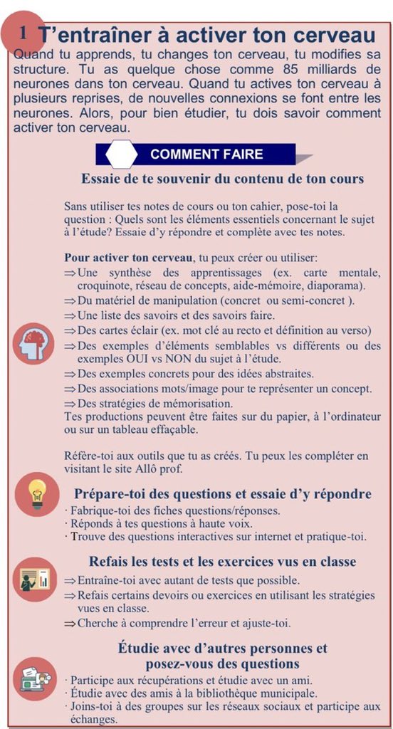 florencelebras's tweet photo. Quelles stratégies mettre en place pour étudier efficacement? Infographies inspirées des travaux de @SteveMasson https://t.co/9hrrCtDBEI https://t.co/W4R10qyij3