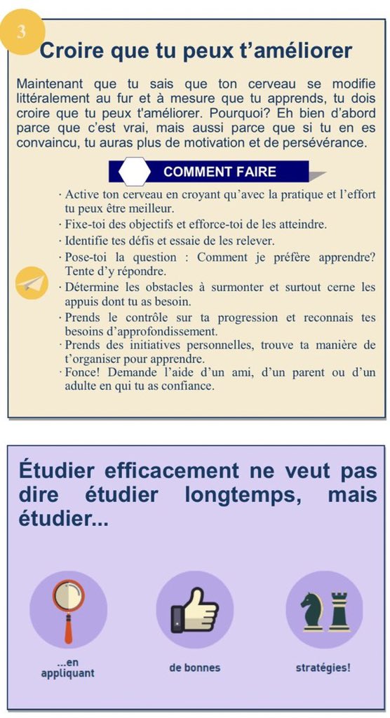 florencelebras's tweet photo. Quelles stratégies mettre en place pour étudier efficacement? Infographies inspirées des travaux de @SteveMasson https://t.co/9hrrCtDBEI https://t.co/W4R10qyij3