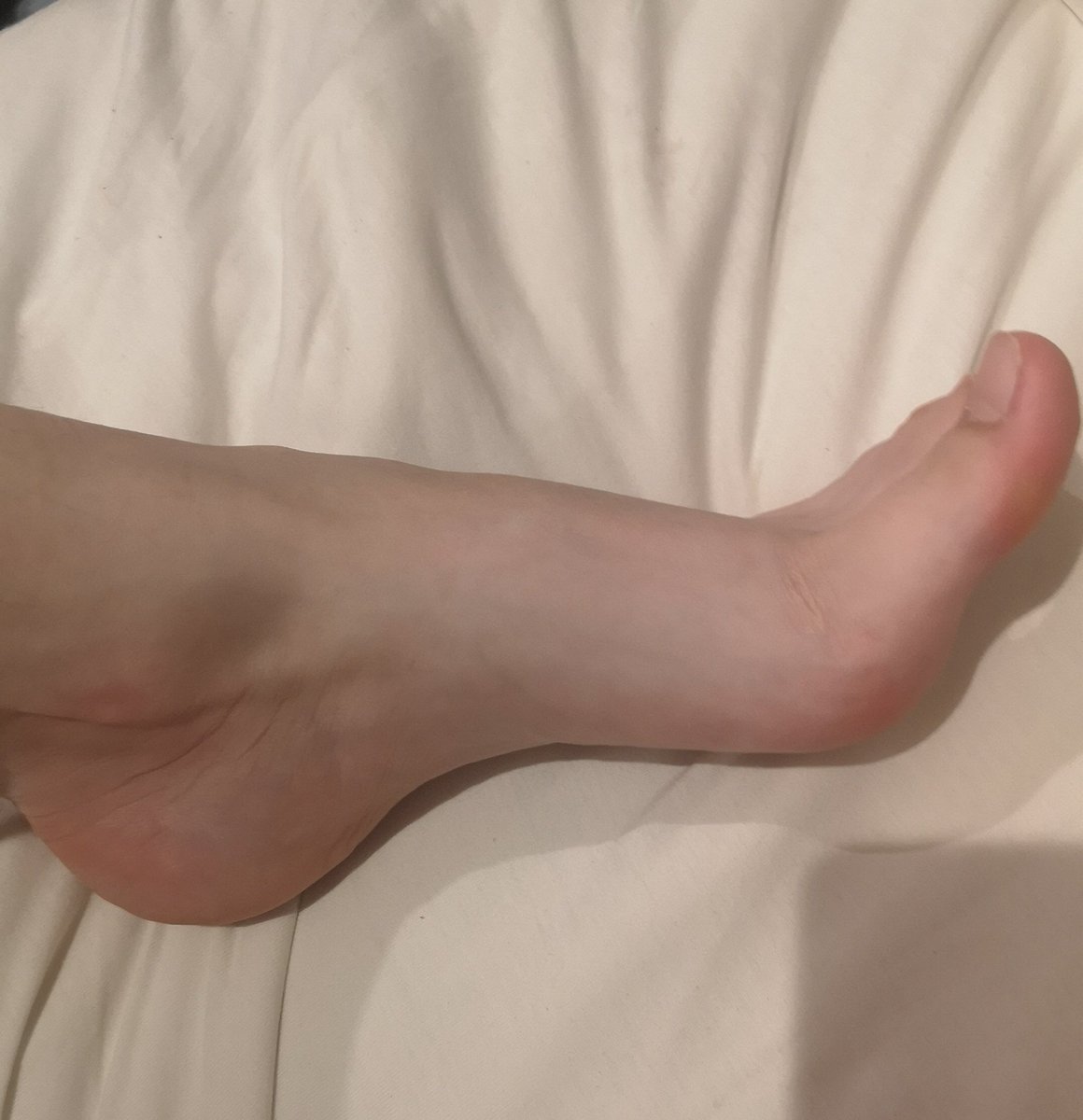 slavickitten's tweet photo. where my arch lovers at?

#arch #feet #feetfootish #feetseller #feetstagram #feetcontent  #onlyfansgirl #onlyfansnewby #onlyfanspromo #feetmodel #slavicgirl https://t.co/Uj6ej1ZuK7