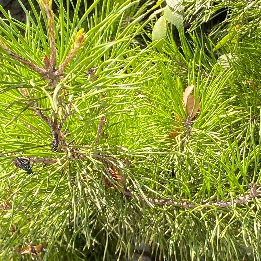 Sending positive energy &amp; Reiki 💜🌼

#reikihealing #reiki #nature #oceanview #zen #Happiness #mindfulness #lightcodes #hiking #naturephotography #healing #healingenergy #goodvibes #Forest #lightcodes #lightworker #reikienergy #lightworker #greenwitch #hiking