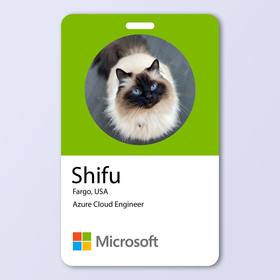 #ThisWeek be a Shifu, fluffy and fabulous! #CatsOfMicrosoft
#MicrosoftCatCalendar
#SundayMorning