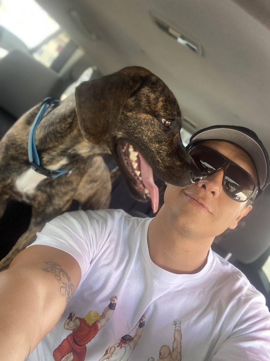 BgaSokanto's tweet photo. Love Pets!!! All types ๐ค๐พ #DPET #NFTgaming #FelizDomingo #Bucaramanga #Oldschool #StreetFighter #Coingamer https://t.co/X4ybvxkrda