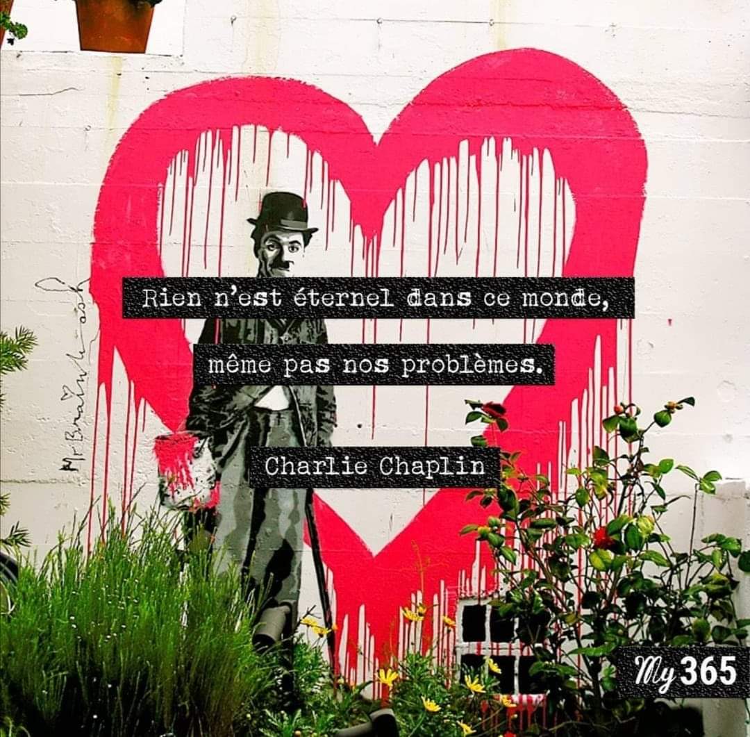 CmQualite's tweet photo. A se rappeler régulièrement même si parfois nous en doutons... 😉
#psychologiepositive #developpementpersonnel #citation #citationpositive #penseepositive #penseedujour #vivreautrement #vivremieux #preconisation #probleme #douter #charliechaplin https://t.co/imWPJnF7do
