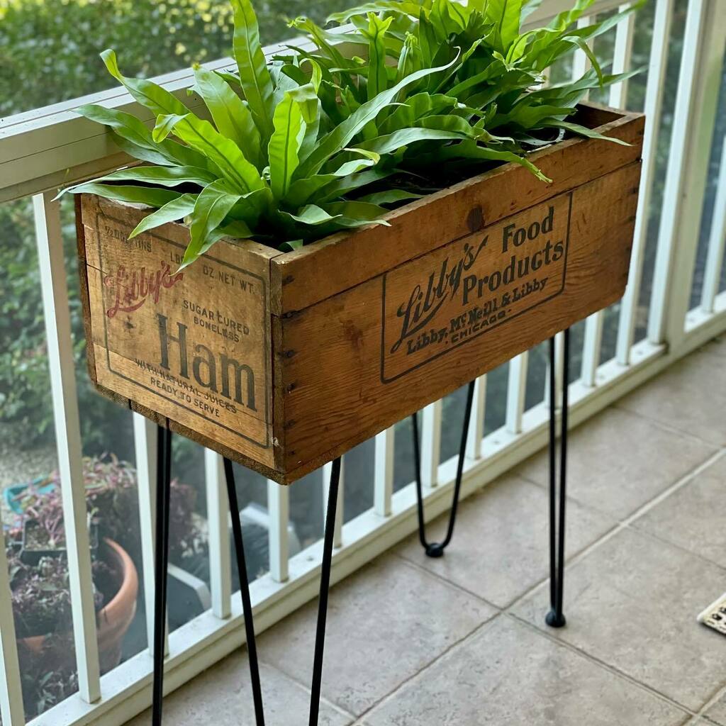 On the blog today, my all time favorite vintage find of all time! ✨✨ 

I’m off to enjoy some sunshine ☀️ Have an amazing day!
.
.
.
.
.
#vintagecrates #modernplanters #plantsmakepeoplehappy #porchdecor #outdoorspaces #howihome #moderncottage #lakeliv… instagr.am/p/CSmeJXYnkHU/