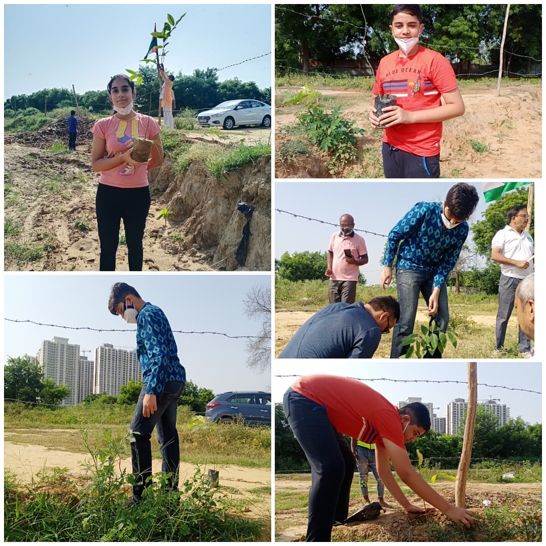 Today on the 75th occasion of #IndependenceDayIndia2021,🇮🇳 the #WeRiseTogether team planted more than 75 native #trees as a tribute to our #FreedomFighters. Now, it is our duty to free not only our country but the whole globe from the #ClimateCrisis.

@ShreyaTuli_ @AaravSeth_