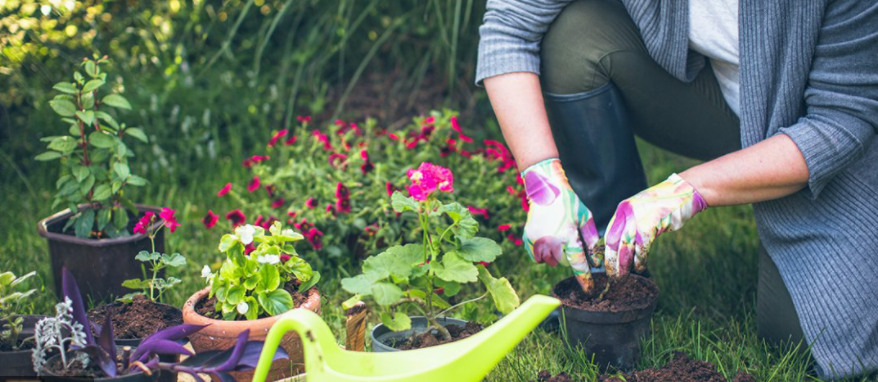 Green thumbs at the ready, it's #FakeGardeningFacts 

with
<a href="/bigmacher/">Jeff Dwoskin Has A Podcast</a>
<a href="/Josh_ill_us/">Sheepy Shoulders</a>
<a href="/ReynardCity/">Rob Turner</a>
wsg <a href="/MadAnter/">Evan Van</a> 

Part of <a href="/HashtagRoundup/">Hashtag Roundup</a>