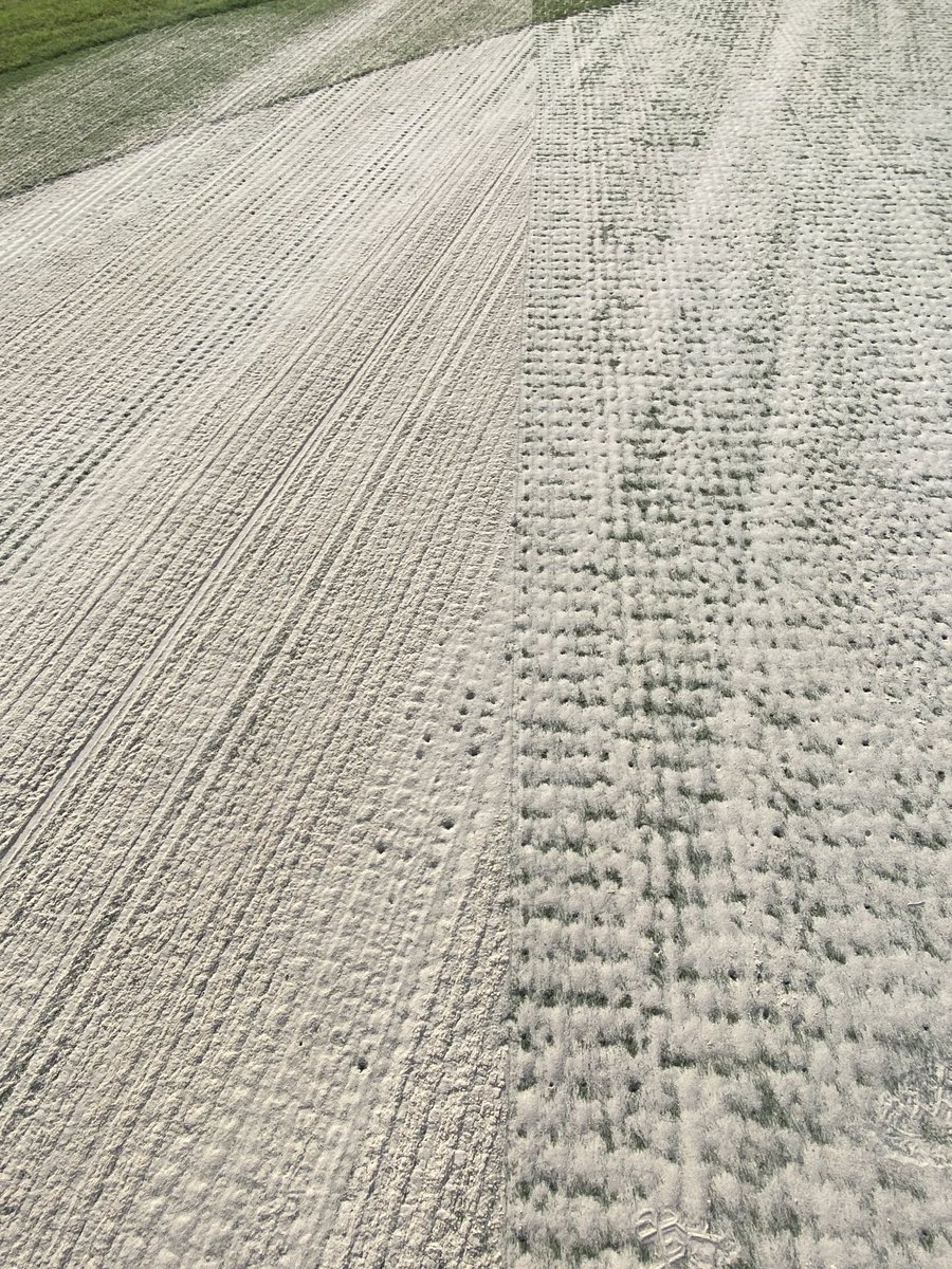 golf_wells's tweet photo. Busy days at the Creek. Heavy Top dress followed by a deep 19mm solid tine to create some nice clean channels of sand in the greens profile a second tine with 8mm followed to further work the sand into the profile #greenkeeping #golfcoursemaintenance #golfcourserenovation #dubai https://t.co/oAjkTVtvrm