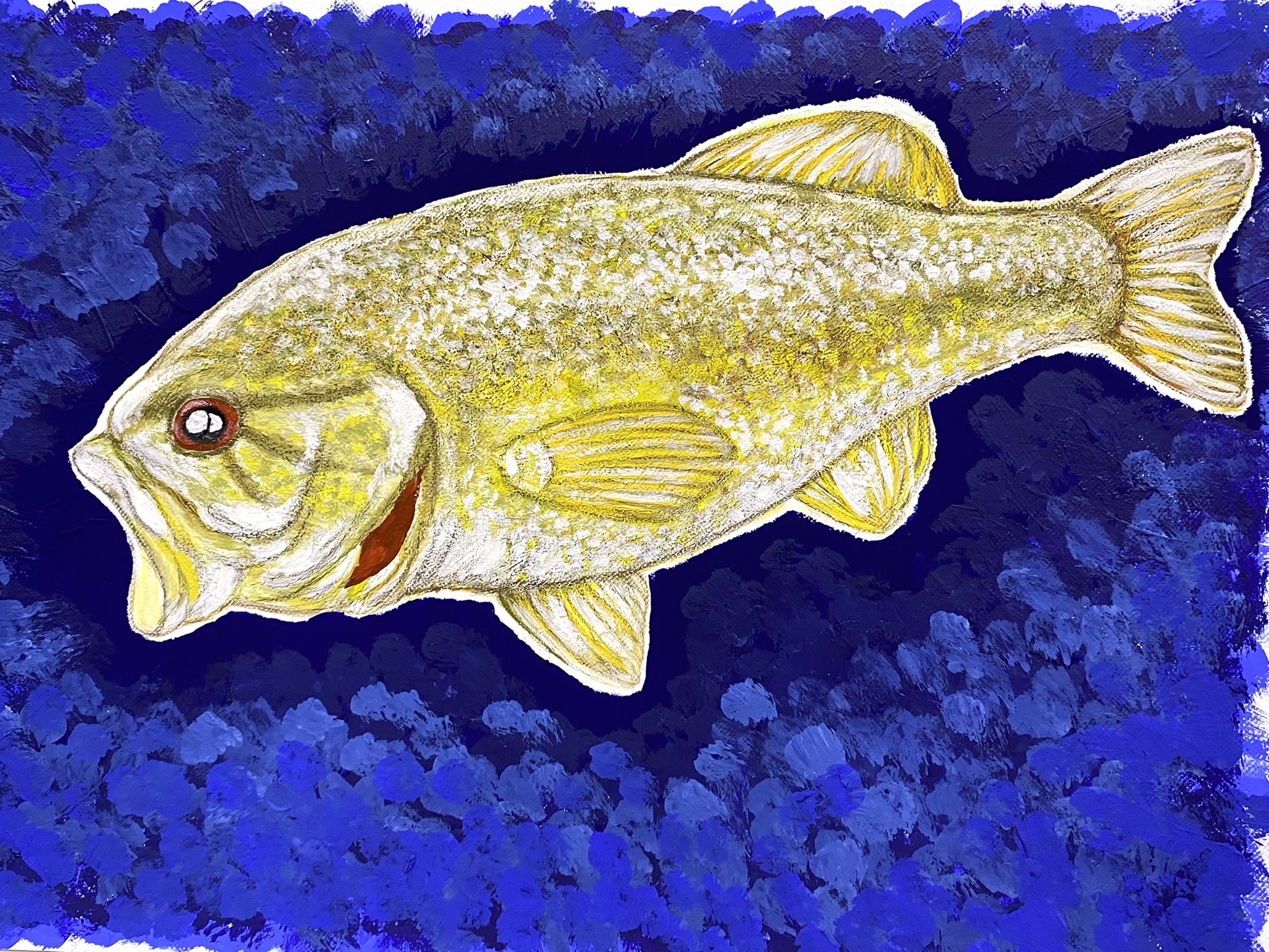 ささら優 イラストレーター 学校の授業でアクリルで描きました 苦手なアクリルでしたがやる度に楽しくなります 先生に感謝です アクリル アトリエの系譜 イラスト好きさんと繋がりたい アクリルイラスト ブラックバスイラスト スモールマウスばす ささら優 イラストレーター 学校の授業でアクリルで描きました 苦手なアクリルでしたがやる度に楽しくなります 先生に感謝です アクリル アトリエの系譜 イラスト好きさんと繋がりたい アクリルイラスト ブラックバスイラスト スモールマウスばす