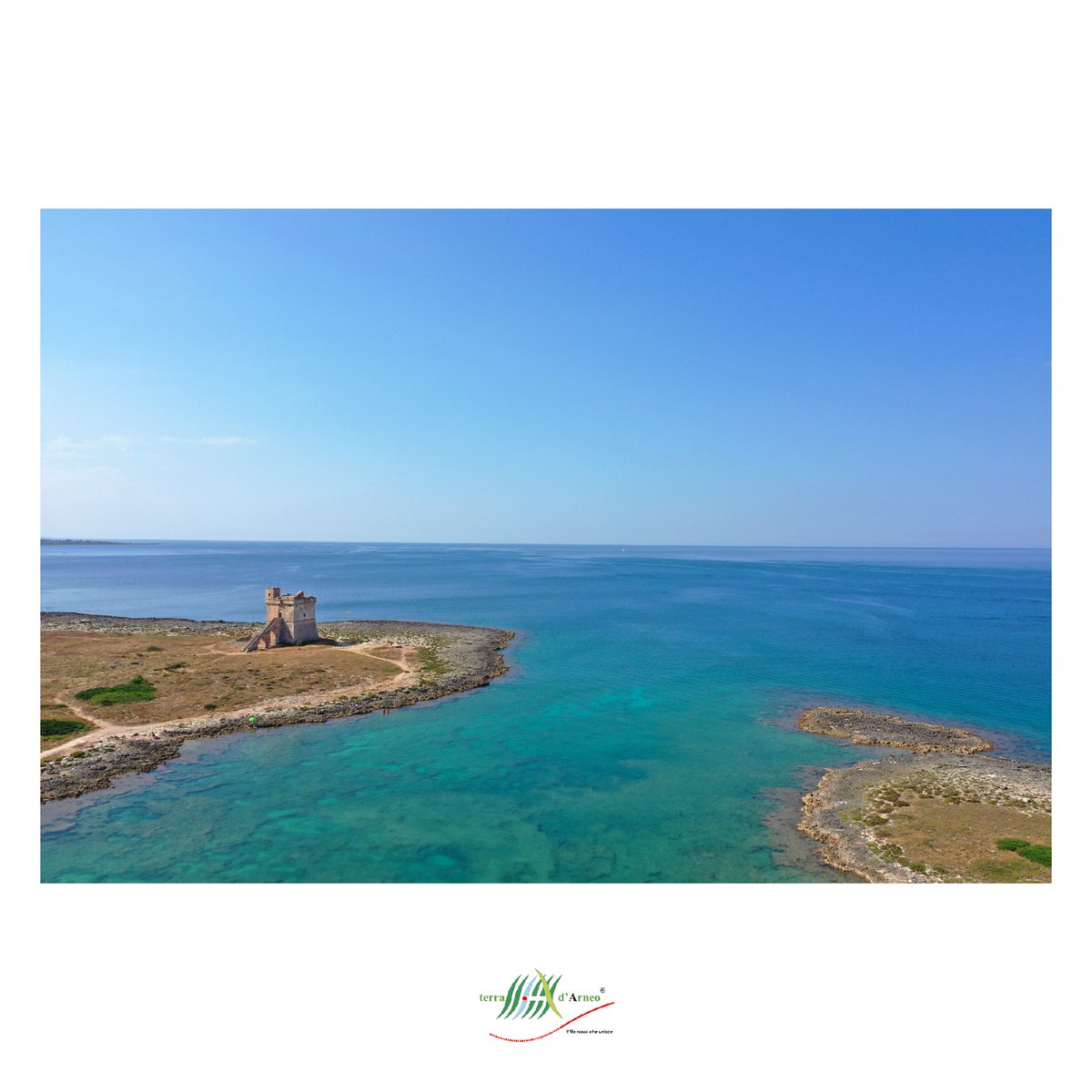 “I pescatori sanno che il mare è pericoloso e la tempesta terribile, ma non hanno mai trovato in questi pericoli una ragione sufficiente per restare a riva.” Van Gogh. Buon Ferragosto! 😊
bit.ly/3sk2WKG

@fopeamp #terradarneo #pesca #GalTerradArneo #pofeam1420