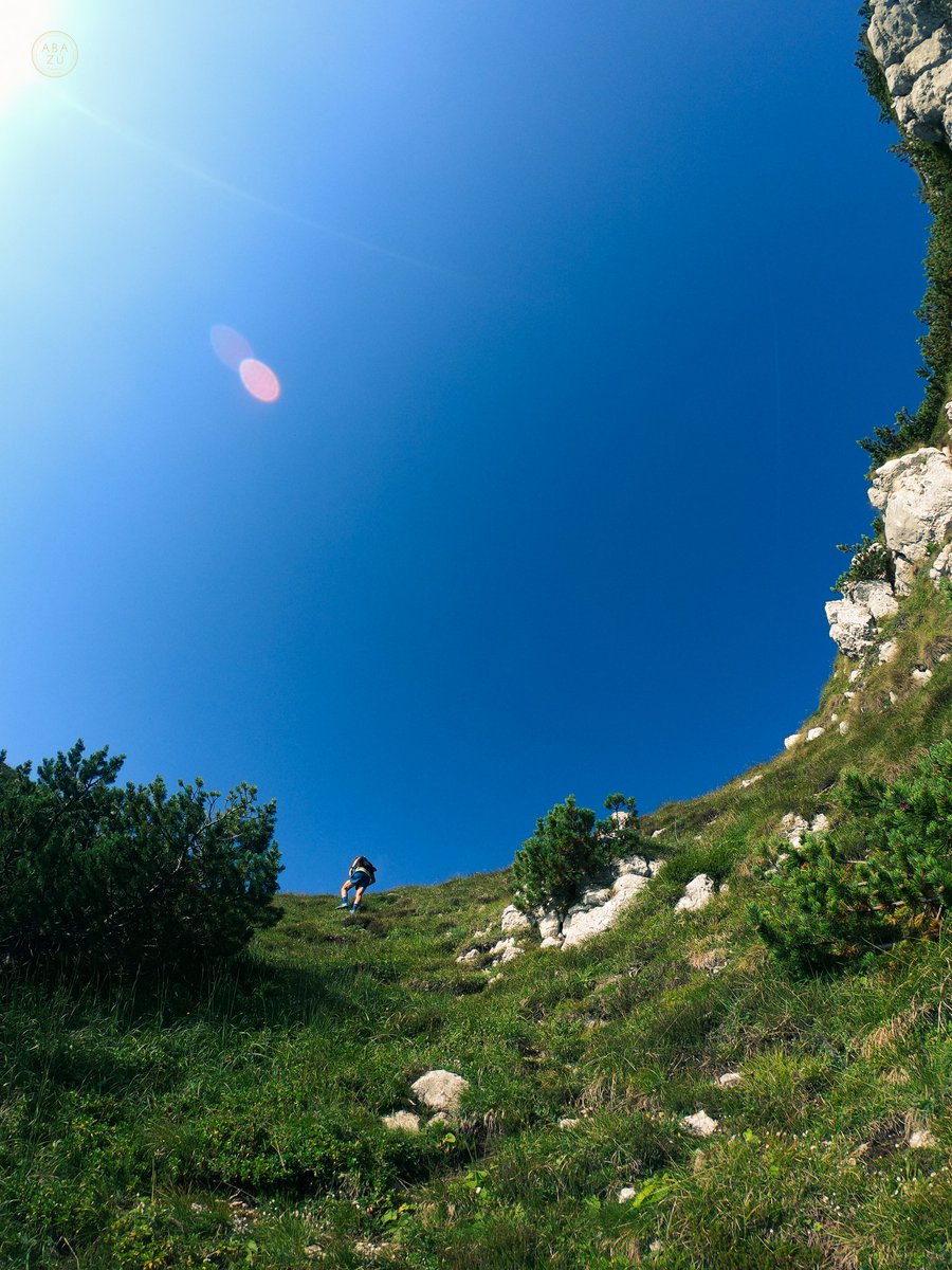 AbaZuani's tweet photo. Mattina di ferragosto con il Pres che eccezionalmente si sposta in dx Adige per andare in Stivo ovviamente dal sentiero per eccellenza:
i Geroni 😱☠️.
#I❤️Geroni
@runlovers
#gentefuoristrada
#RunFastLiveCool
#IoCorroQui
#BitumenIsBoring
#DipendenzaDaPendenza
#Guadagnarsela https://t.co/wj3nnRGLjk