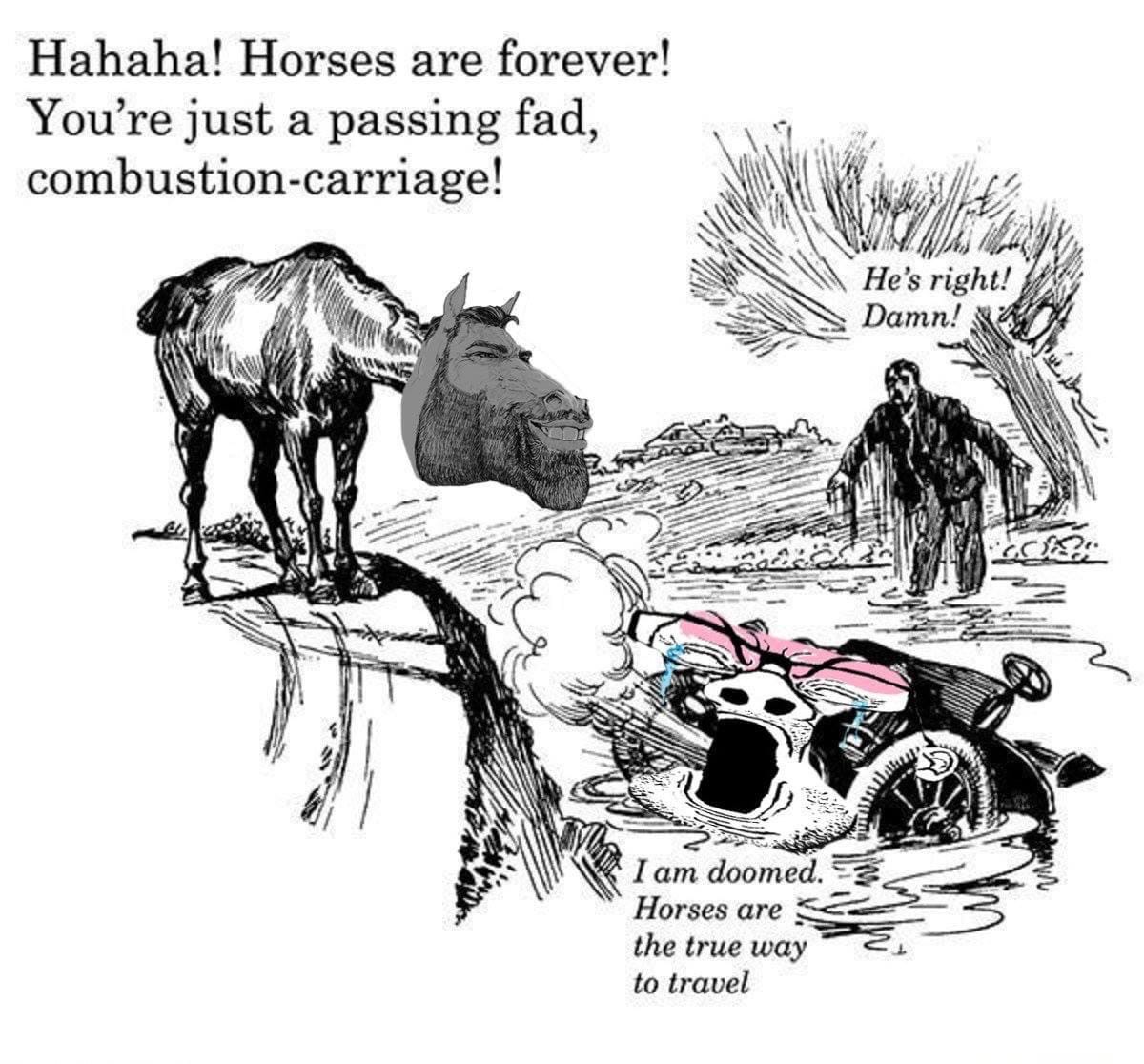 E82S2J2X0AIJ79A?format=jpg&name=medium