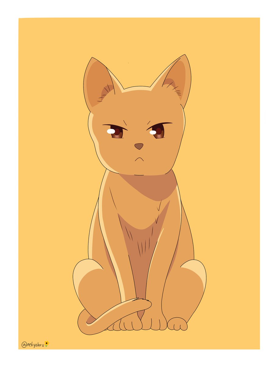 nekyohru's tweet photo. last day of #KyoWeek2021 : cat 🐱 https://t.co/XW7vr4PT4I