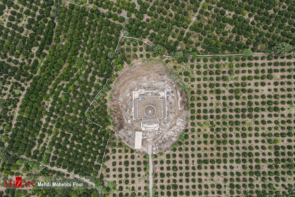 ReportersGreen's tweet photo. عمارتی مجلل در روستای ملاکلا شهرستان سیمرغ (کیاکلا)  مازندران با قیمت نجومی برای گروهی خاص که برای ساخت آن بیش از ۳۲۰۰۰ متر مربع زمین شالی خشکانده شد. 
سودجویان زمین شالی را به باغ مرکبات تغییر کاربری داده و به این شکل مجور ویلاسازی گرفتند.

عکس ها: مهدی محبی پور

#محیط_زیست https://t.co/lrOFXlyZh1