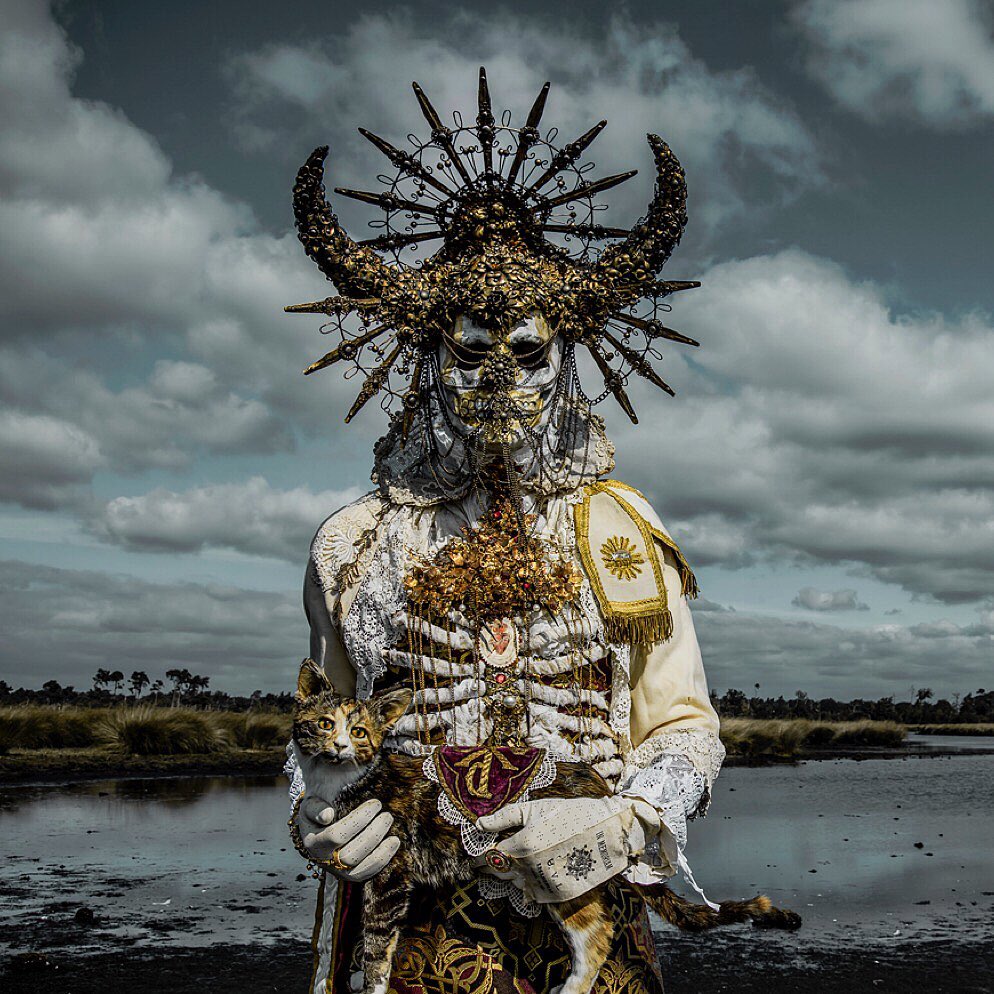 BestOfMeow's tweet photo. Art by Mothmeister https://t.co/ZJr7Astmbf