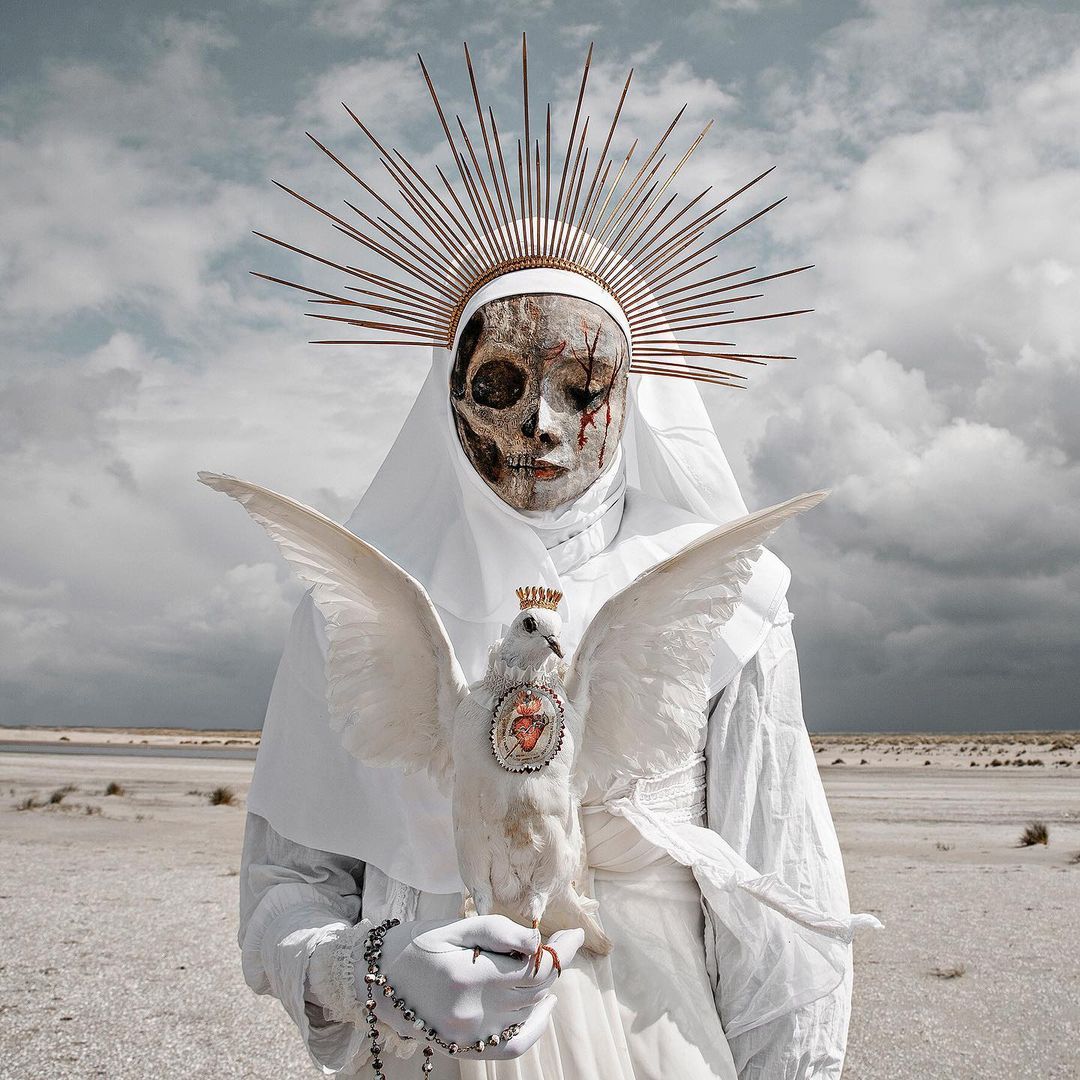 BestOfMeow's tweet photo. Art by Mothmeister https://t.co/ZJr7Astmbf
