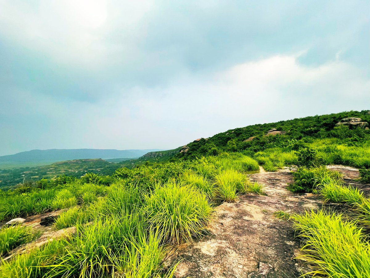 If only I could pen down the beauty of #PandavBakhara in mere words. A delight for every adventure enthusiast & the best getaway for folks in Bhubaneswar. You’ve to see it to experience it.

Odishaaah!
@odisha_tourism 

#OdishaByRoad #PandavBakhara #Caves #Trekking #EasternGhats