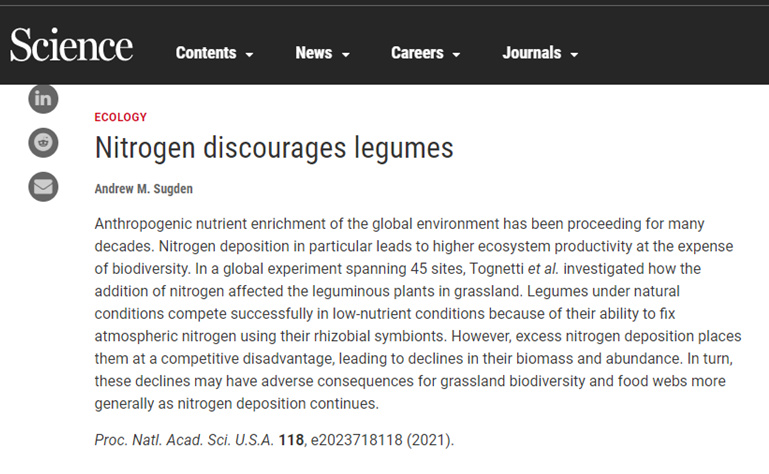 Pedro M. Tognetti tweet media