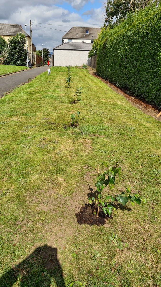 SaferstreetsYP's tweet photo. Thread 3/5:
...Litter Picking equipment provided by @KSBScotland  as part of our Community Litter Picking Hub status, and also @SustransScot. Rubbish disposal by @falkirkcouncil Waste Services.
#community #LoveYourNetwork @FVforNetZero https://t.co/HRXllHyDQH