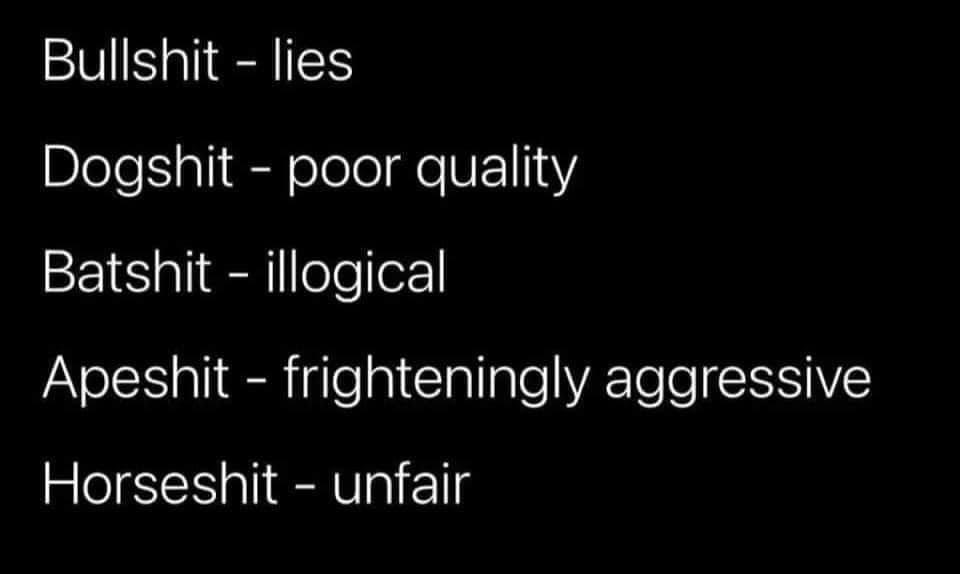 Levi Brite tweet media