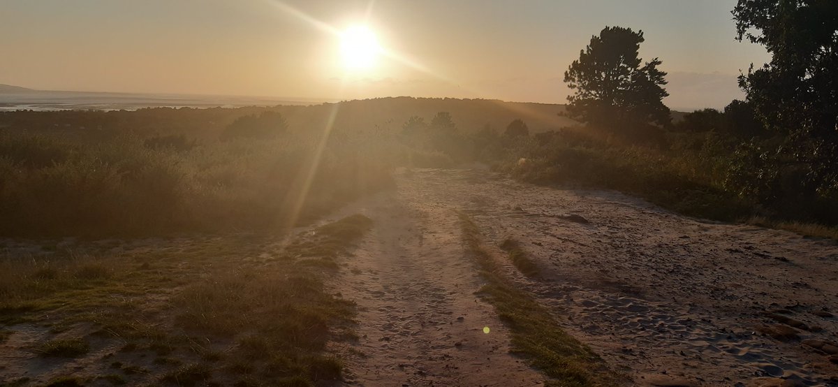 lindawain444's tweet photo. 26 miles this week, 16 cycling, 10 walking, YTD 842, 158 miles to go! 🚴‍♀️🚶‍♀️Yipee 😃#NHS1000miles ❤ #NursesActive #CNAN #healthandwellbeing #keepfocused  #familyexercise https://t.co/QDEopCWxid