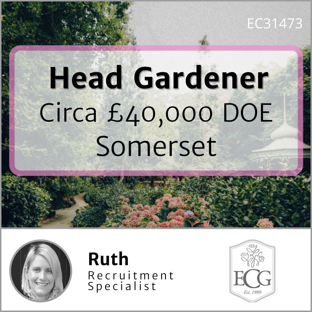 Lewis Normand Iplantsman Twitter