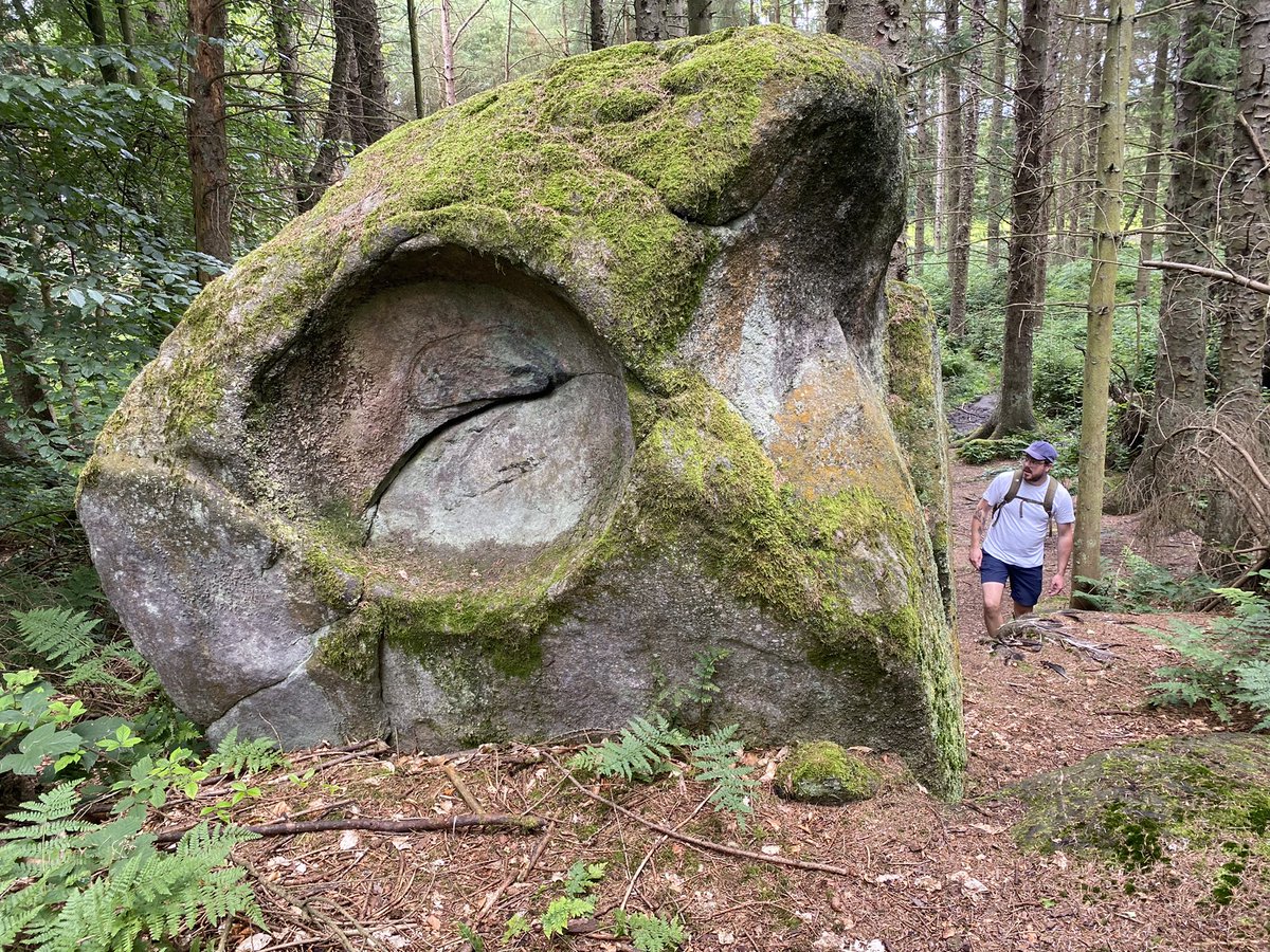 Manclee's tweet image. #Cottingley Moor &amp;amp; #Norr Hill #trigpoints &amp;amp; #Cottingley #woods today. Couldn’t find the #rockart 🙄@visitBradford @Welcome2Yorks #walkshire #Bradford @hiddenbradford @bestofbfd @Bradford_CROW @BingleyWaW #WestYorkshire #woodland @OrdnanceSurvey